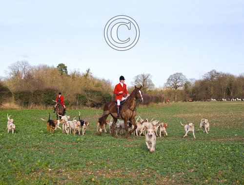 Hunting Foxhounds 4 DM0222